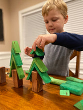 Load image into Gallery viewer, The Forest