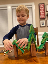 Load image into Gallery viewer, The Forest