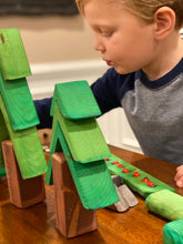 Load image into Gallery viewer, The Forest