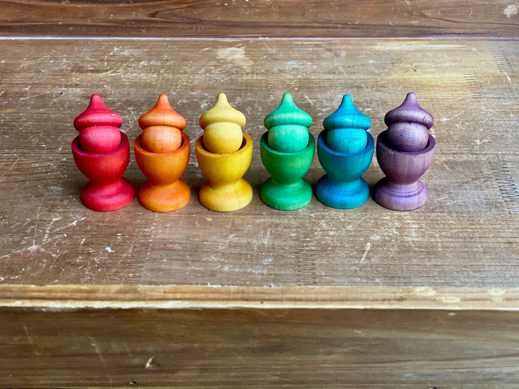 Rainbow Cups and Acorns